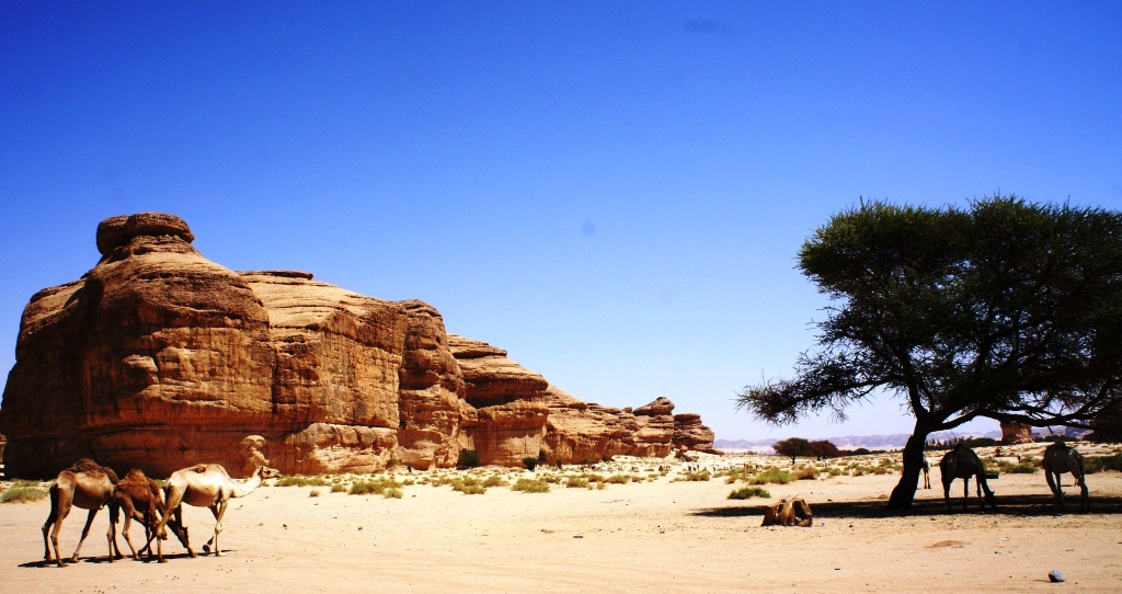 Tourism in Saudi Arabia